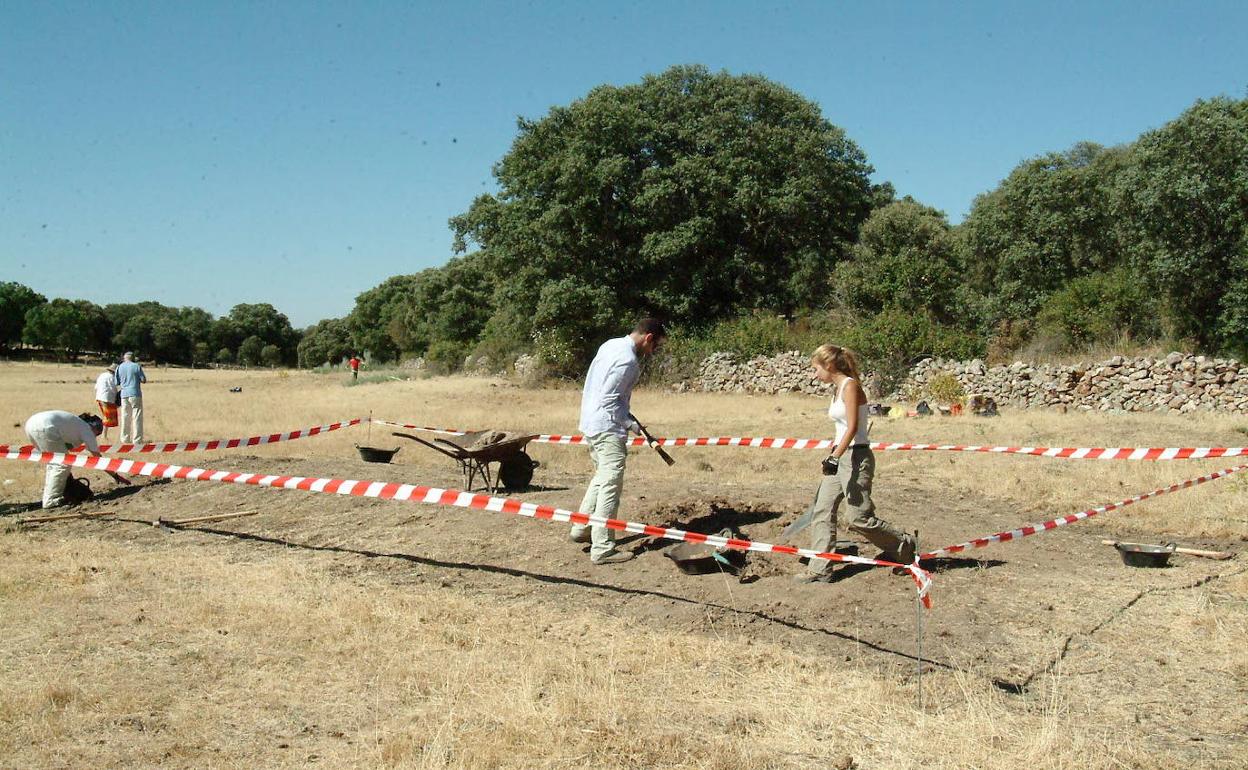 Imagen de una excavación de Memoria y Justicia.