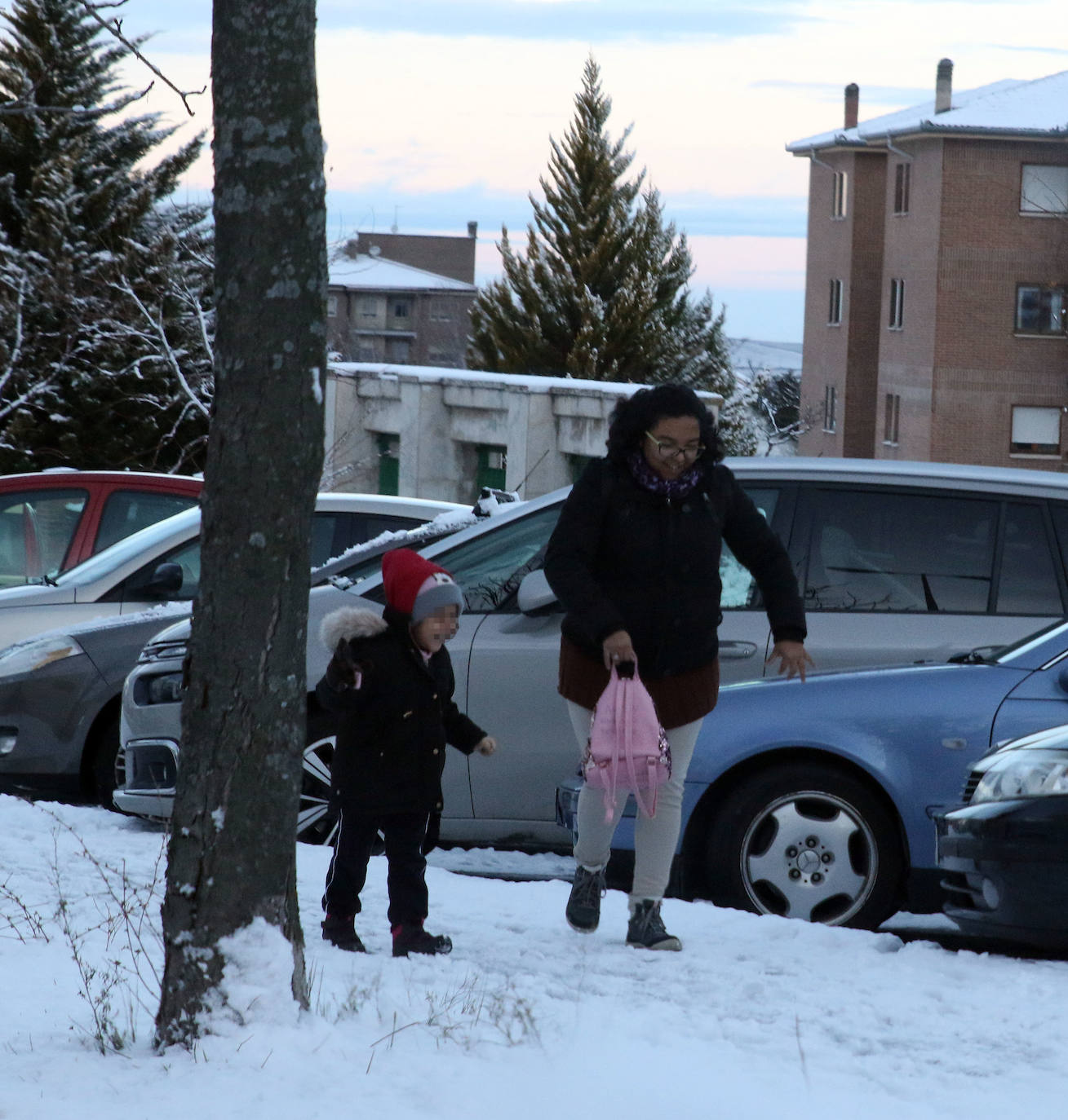 Nevada en Segovia y provincia 