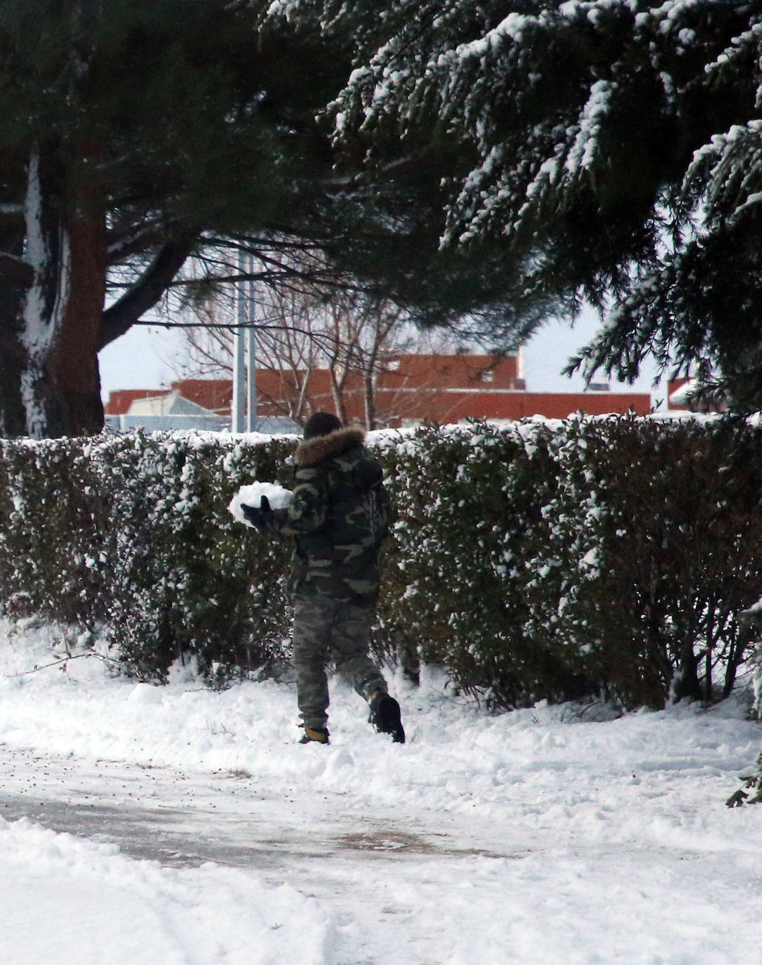 Nevada en Segovia y provincia 
