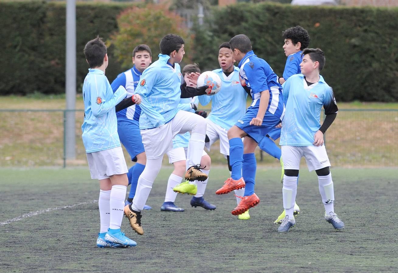 Fotos: Deporte Base del 18 y 19 de enero. Valladolid