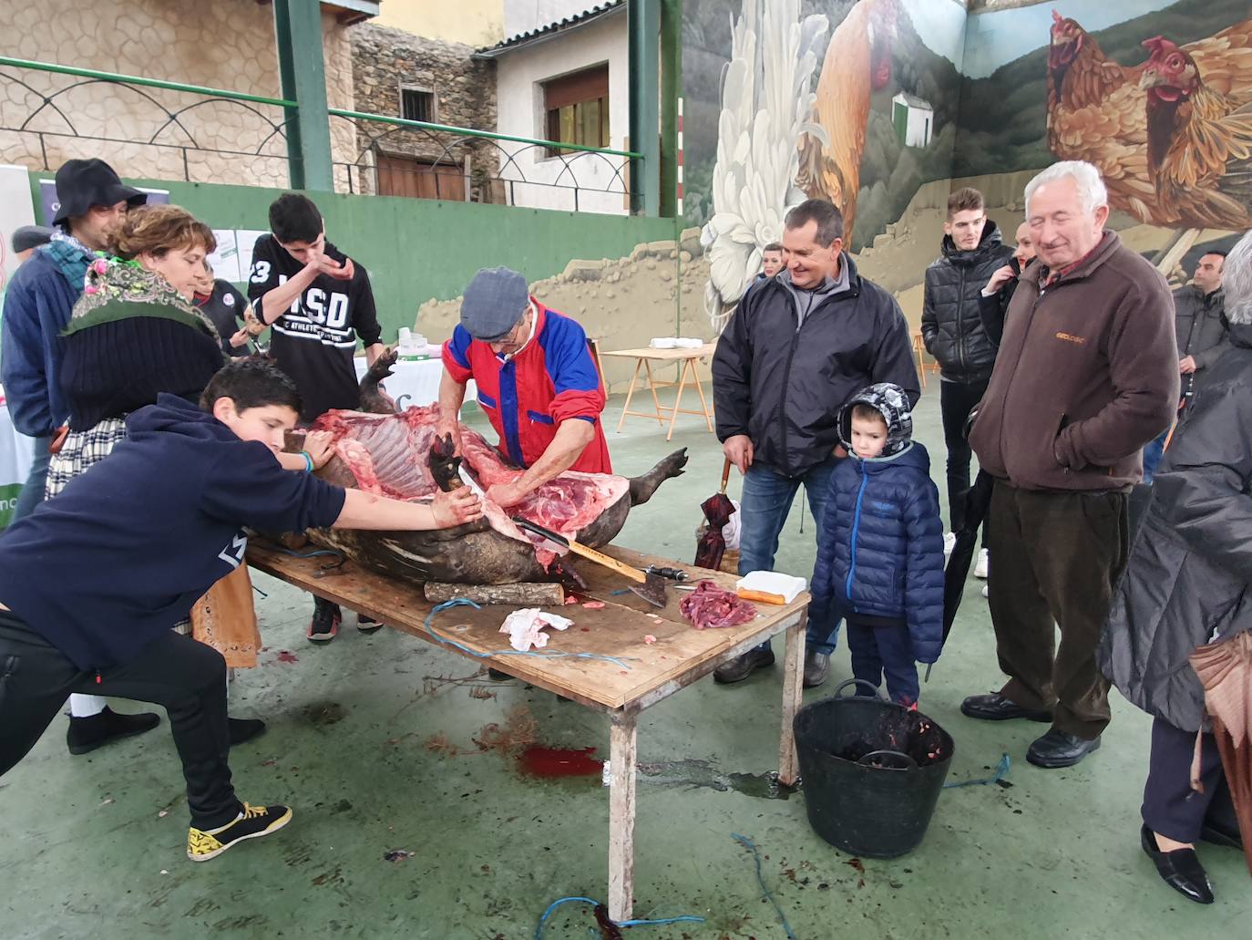 Garcibuey, Madroñal y San Esteban de la Sierra acogieron ayer esta celebración convertida en fiesta.