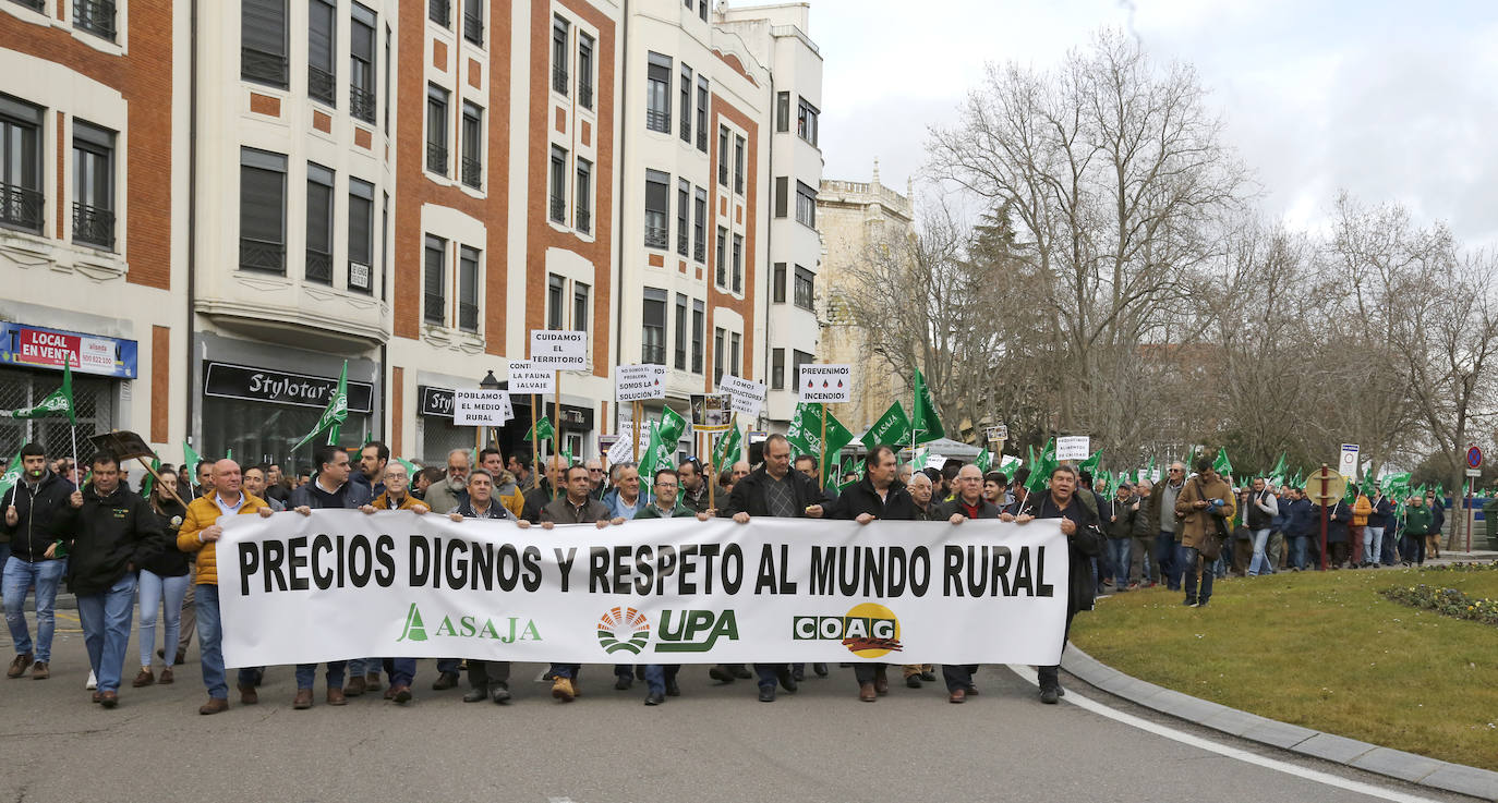 Manifestación por unos precios justos y en defensa del medio rural organizada por Asaja, UPA y Coag..