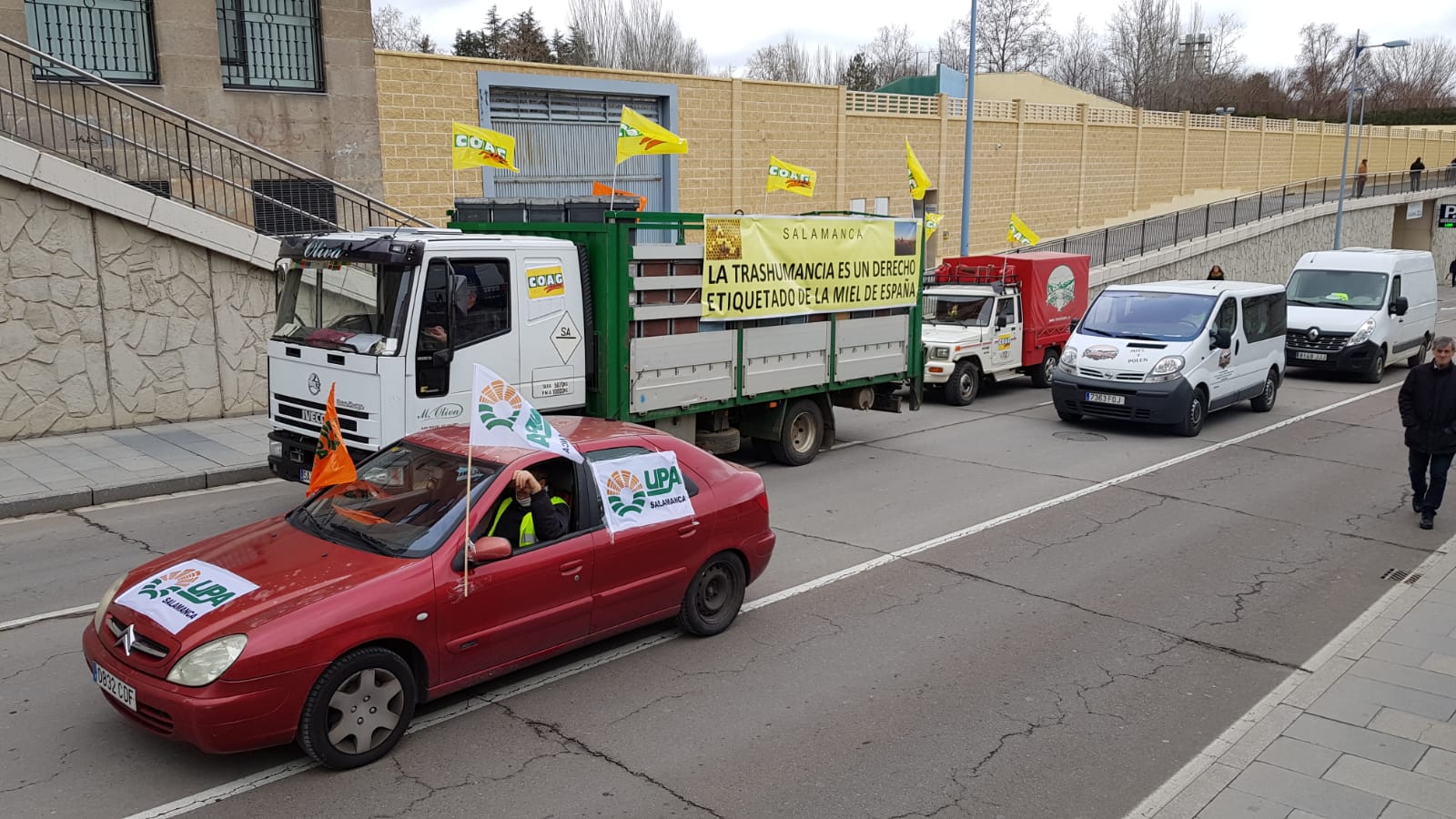 Unas 3.000 personas, acompañados por unos 300 sectores, según cifras aportadas por los organizadores, han recorrido este jueves las calles de la ciudad de Salamanca para «hacerse oír» y «pedir apoyo» para el campo.