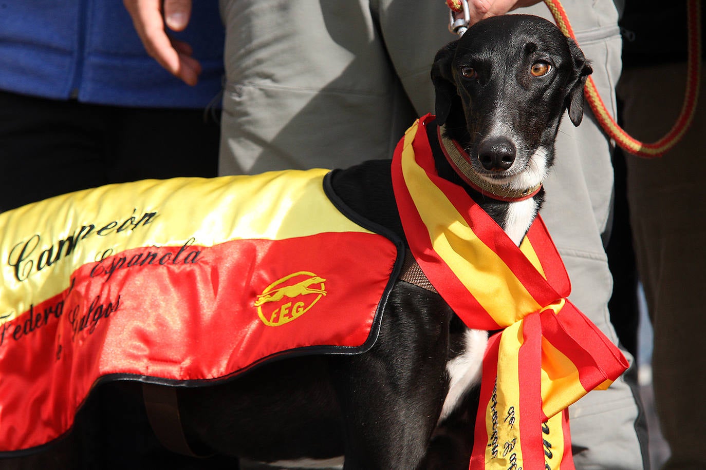 Fotos: El triunfo de Liosa, en imágenes