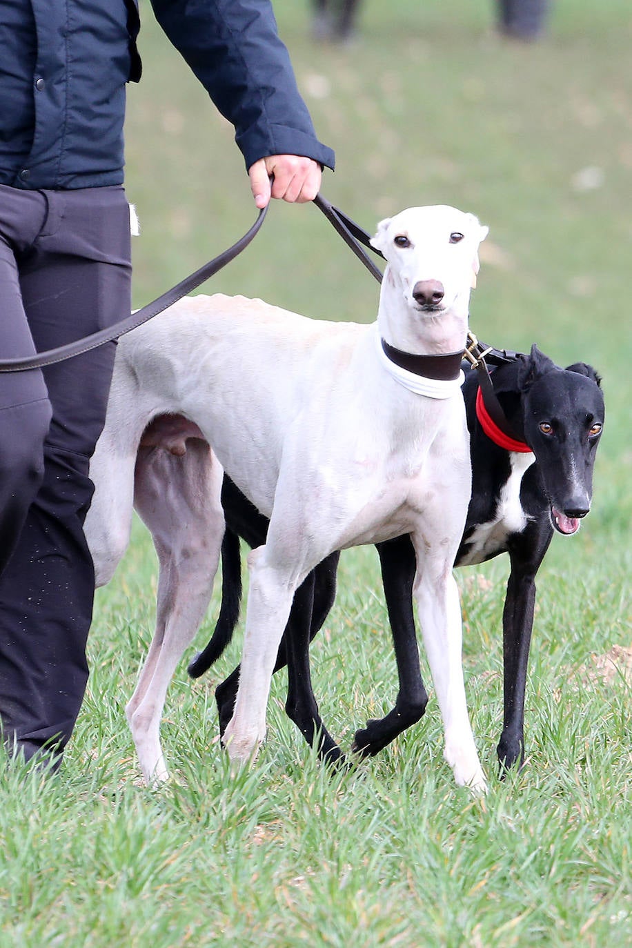 Fotos: El triunfo de Liosa, en imágenes