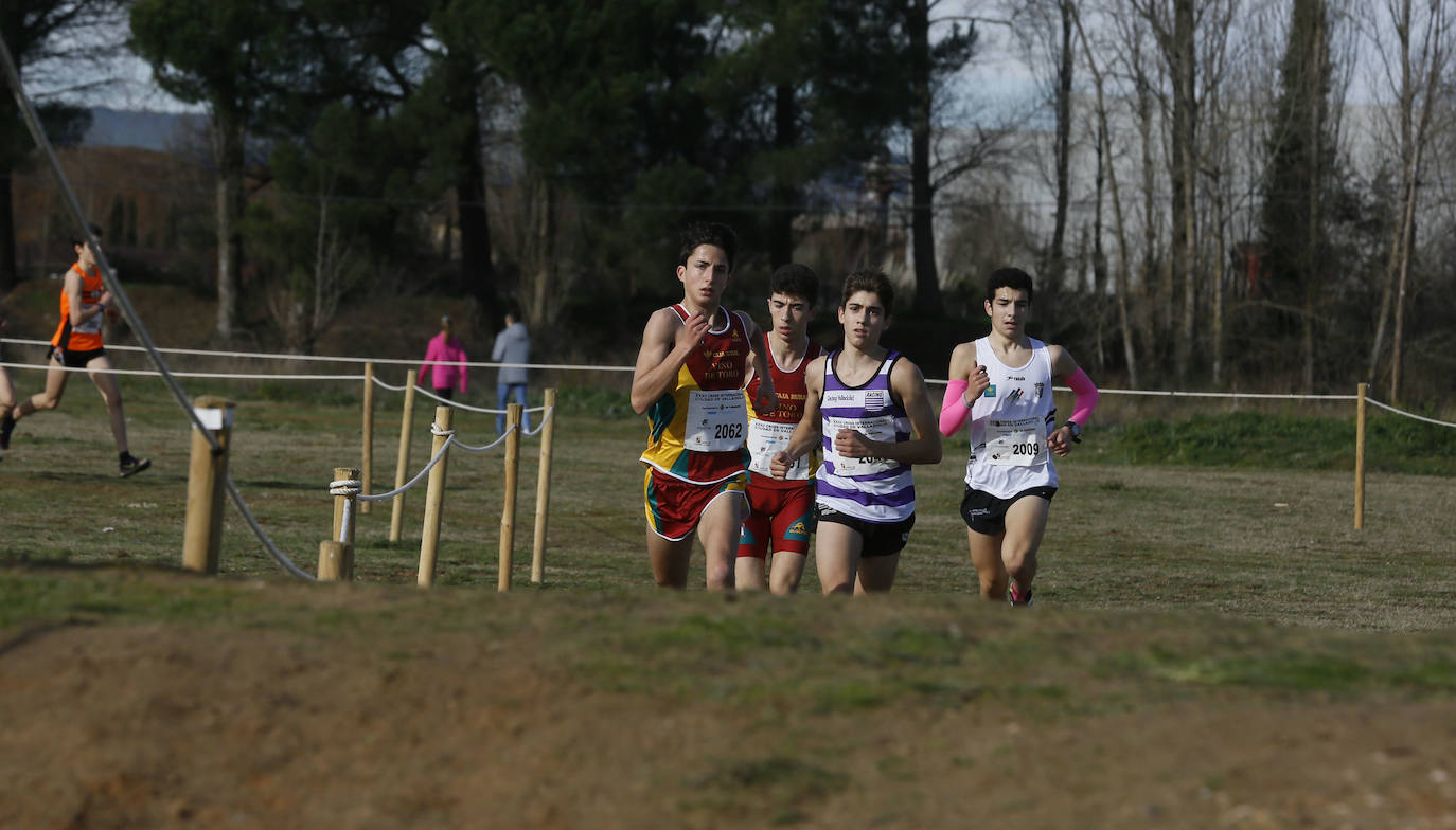 La Cañada Real ha acogido esta mañana el Cross Internacional Ciudad de Valladolid. 