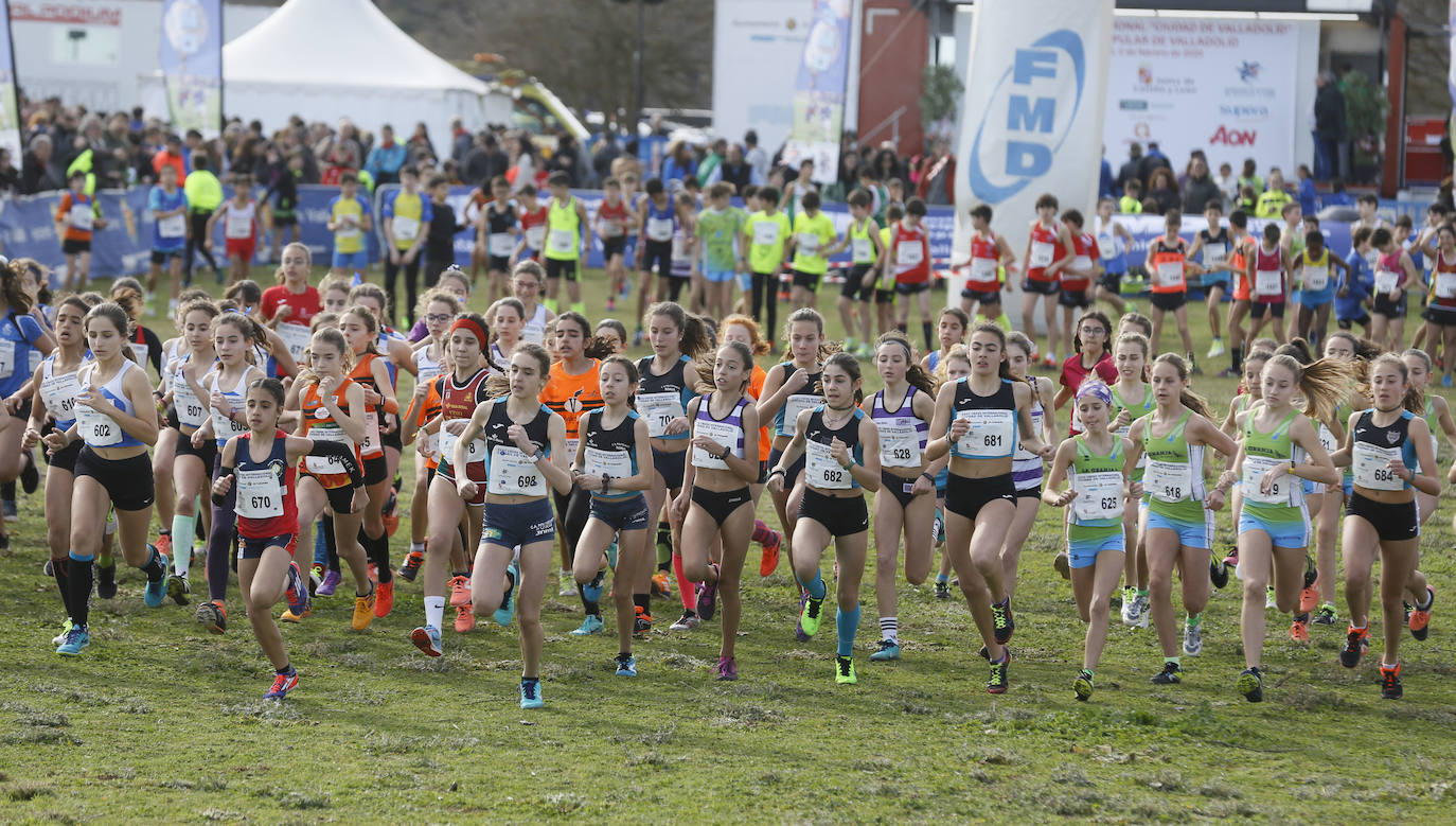 La Cañada Real ha acogido esta mañana el Cross Internacional Ciudad de Valladolid. 