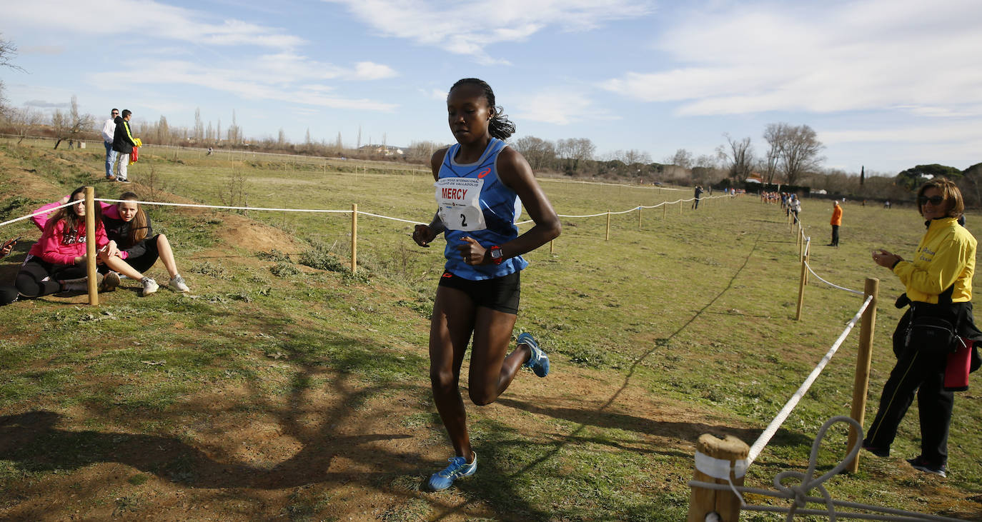 La Cañada Real ha acogido esta mañana el Cross Internacional Ciudad de Valladolid. 