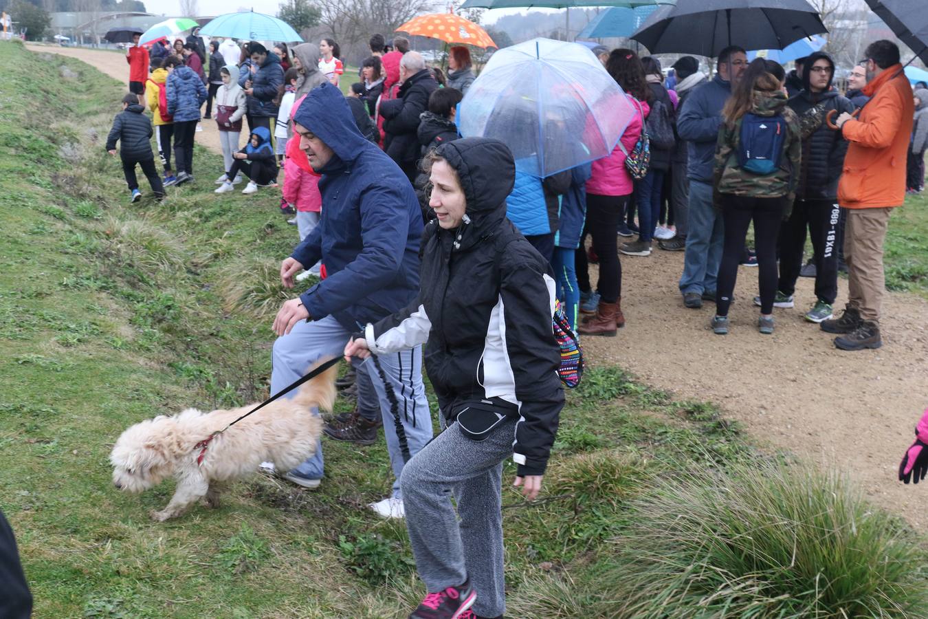 IV Carrera de Orientación Solidaria en Valladolid. 