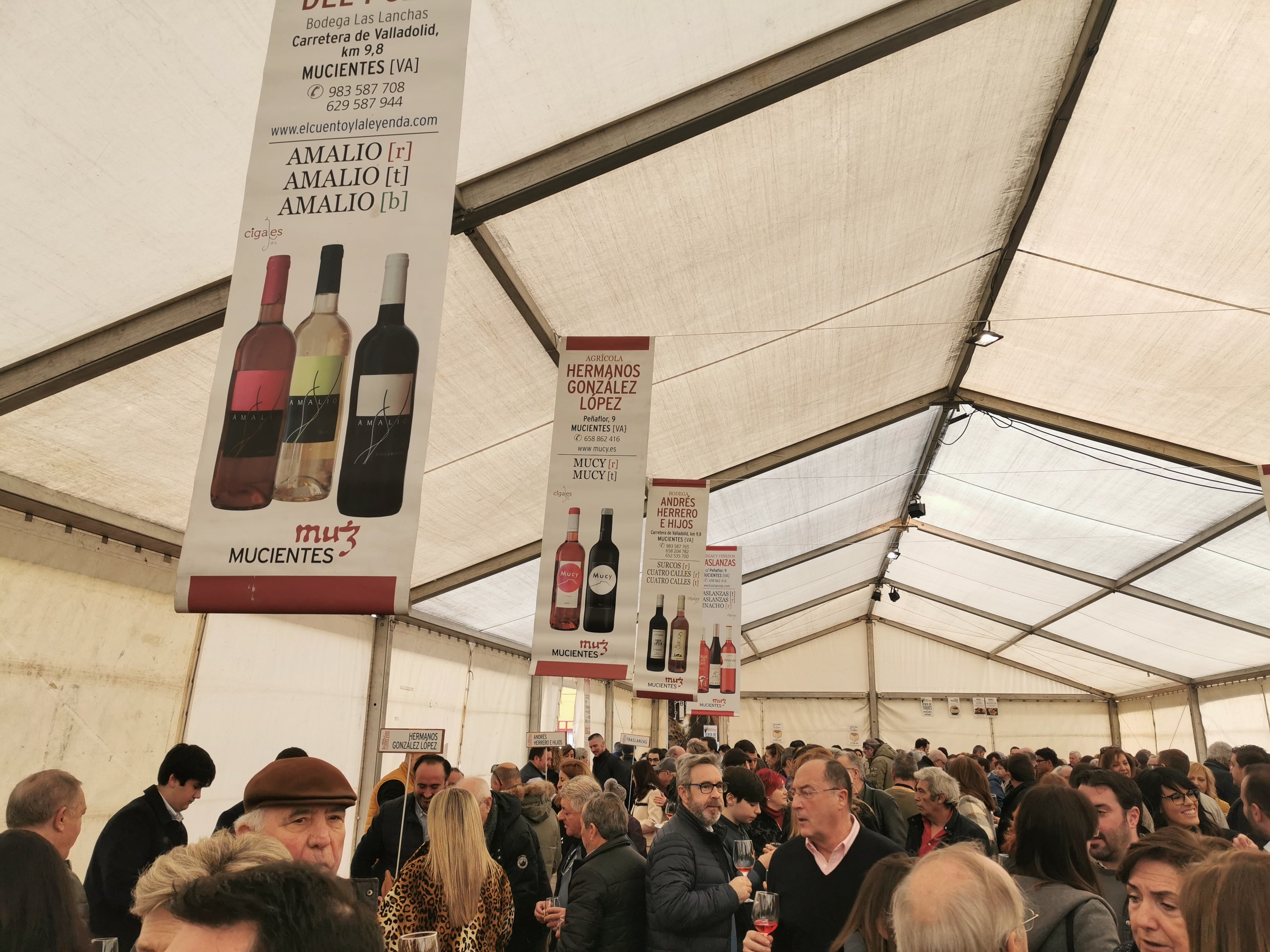 Fotos: Mucientes celebra la Fiesta del Primer Vino