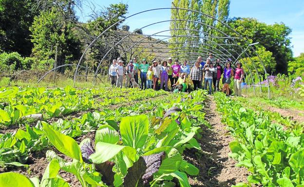 Miembros de Brotes Verdes en uno de los huertos comunitarios de Caballar. 