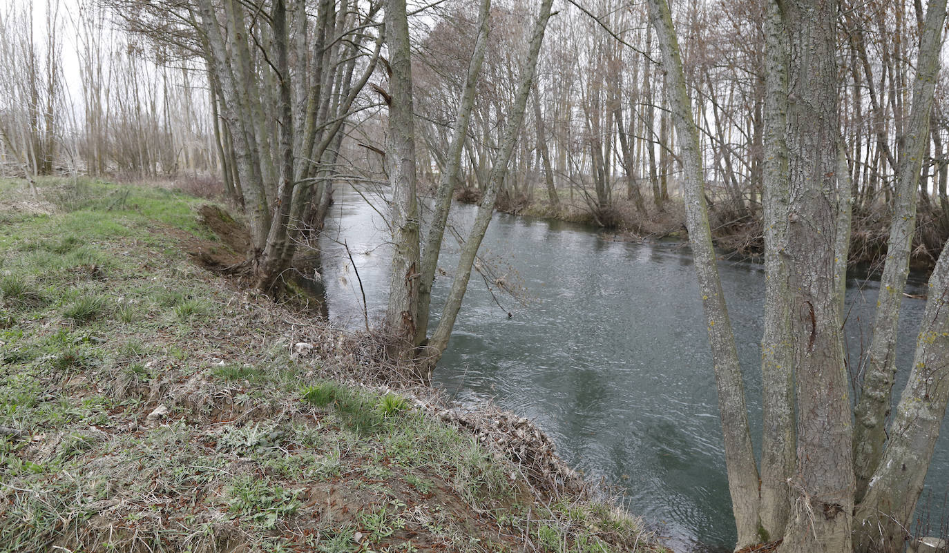 El bebé que una pareja arrojó al río en Palencia nació vivo