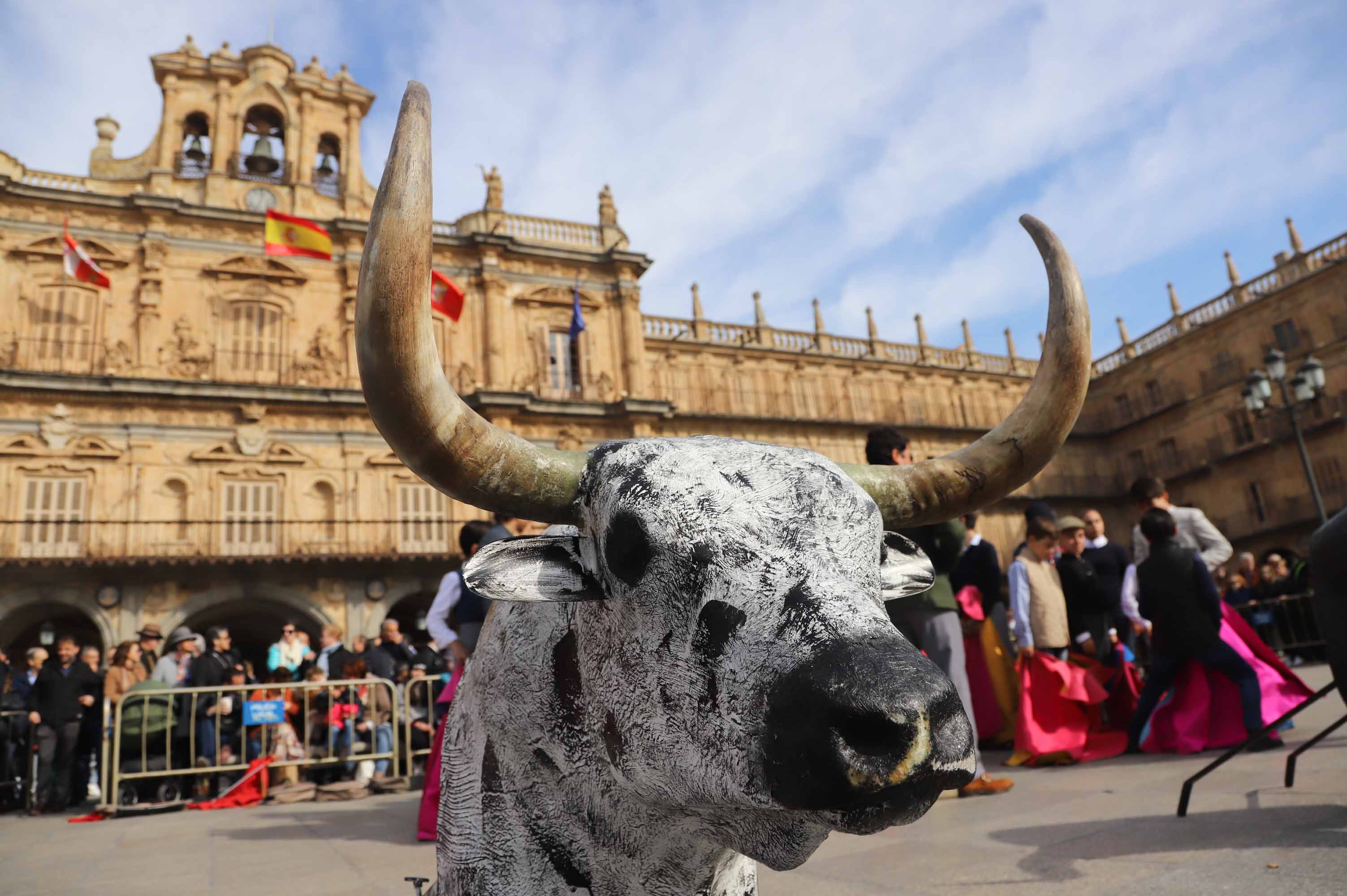 Fotos: La exhibición de los alumnos de la escuela de tauromaquia en la Plaza Mayor de Salamanca