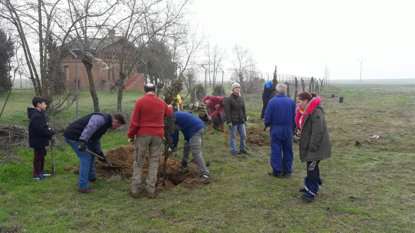 Fotos: La replantación de Villacid y Cuenca de Campos