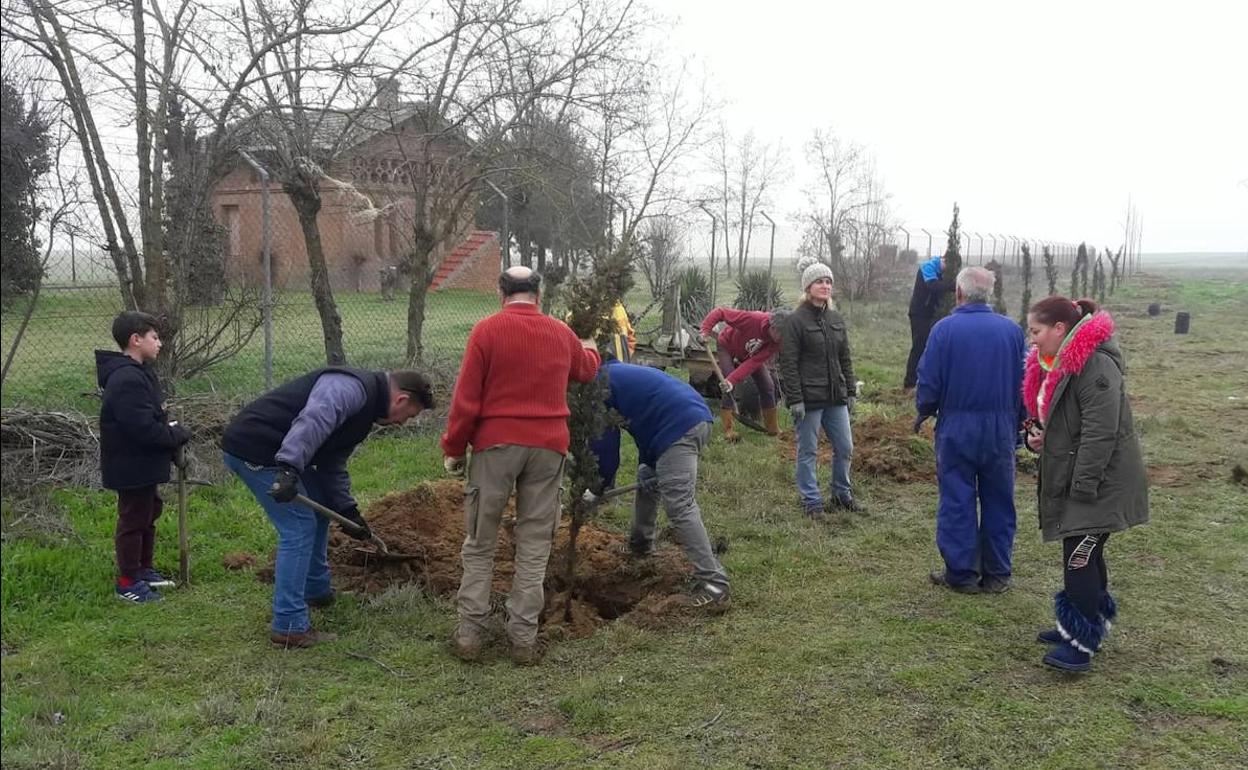 Replantación de Cuenca de Campos. 