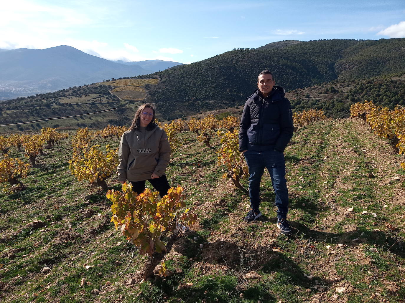 Imagen - «En bodega se está intentando no hacer maceraciones muy largas de la pepita y la piel con el vino»