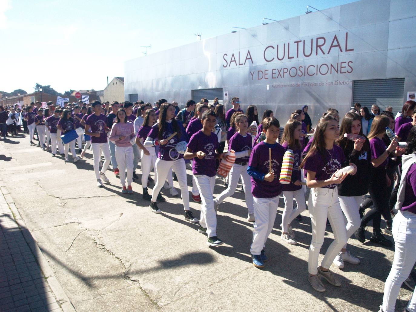 Carnaval IESO Pinares Pedrajas y CEIP Virgen de Sacedon.