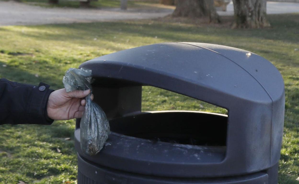 La normativa exige recoger los excrementos de los perros. 