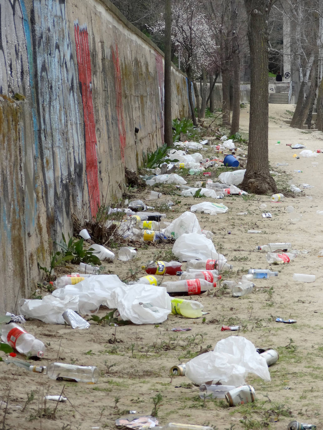 Restos del botellón de carnaval realizado por los jóvenes de la ciudad en el entorno de Las Moreras y La Rosaleda han dejado numerosos desperfectos y además, grandes cantidades de basura