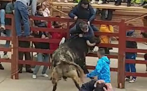 Vídeo: herido muy grave tras ser corneado en ambas piernas en el desencierro de Ciudad Rodrigo