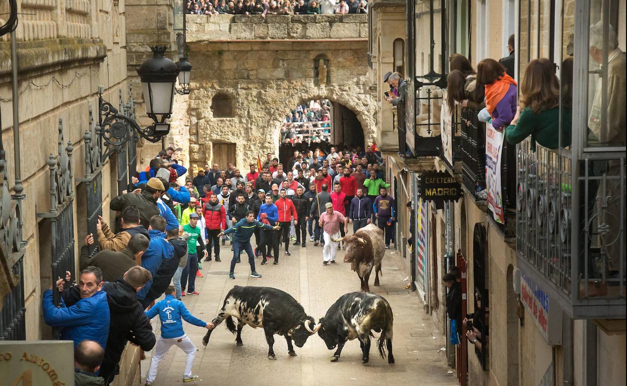 Dos de los toros en la calle Madrid.