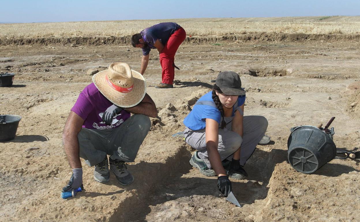 Trabajadores en el yacimiento arqueológico vacceo-romano de Dessobriga. 