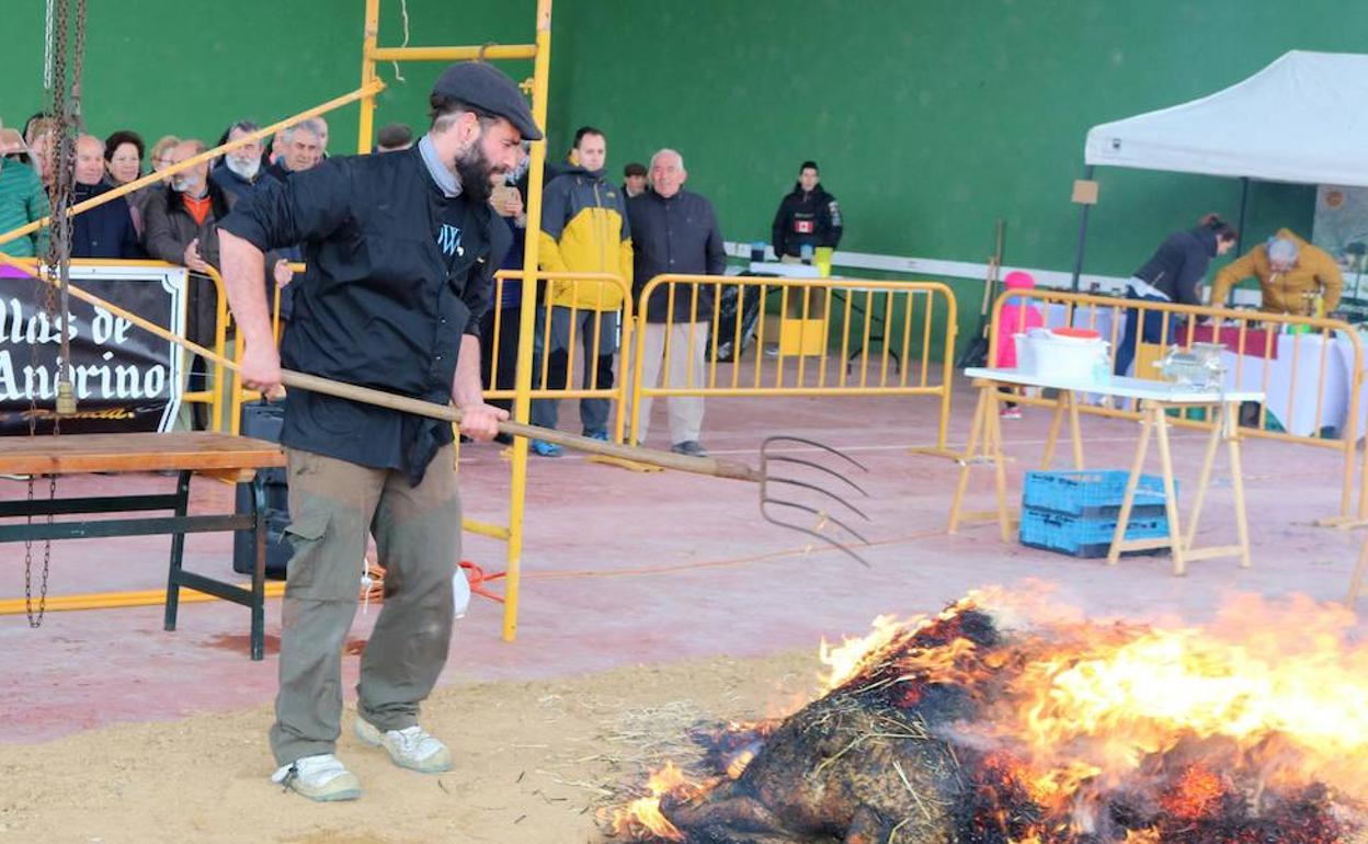 El chamuscado del cerdo suscitó especial interés entre los más pequeños. 
