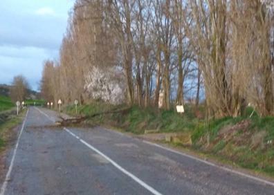 Imagen secundaria 1 - Consecuencias del vendaval en la provincia de Valladolid. 