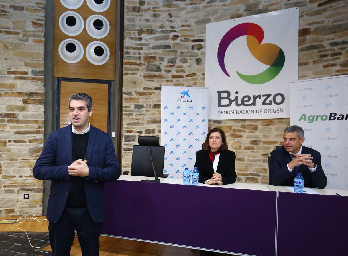 El sumiller del restaurante El Bulli, Ferran Centelles (I), junto a la presidenta del Consejo Regulador de los Vinos del Bierzo, Misericordia Bello, y el director territorial de CaixaBank en el noroeste, Marc Benhamou (D), durante el coloquio ' Potenciación de la industria vinícola', que se celebra en la sede del Consejo Regulador DO Bierzo en Cacabelos (León).