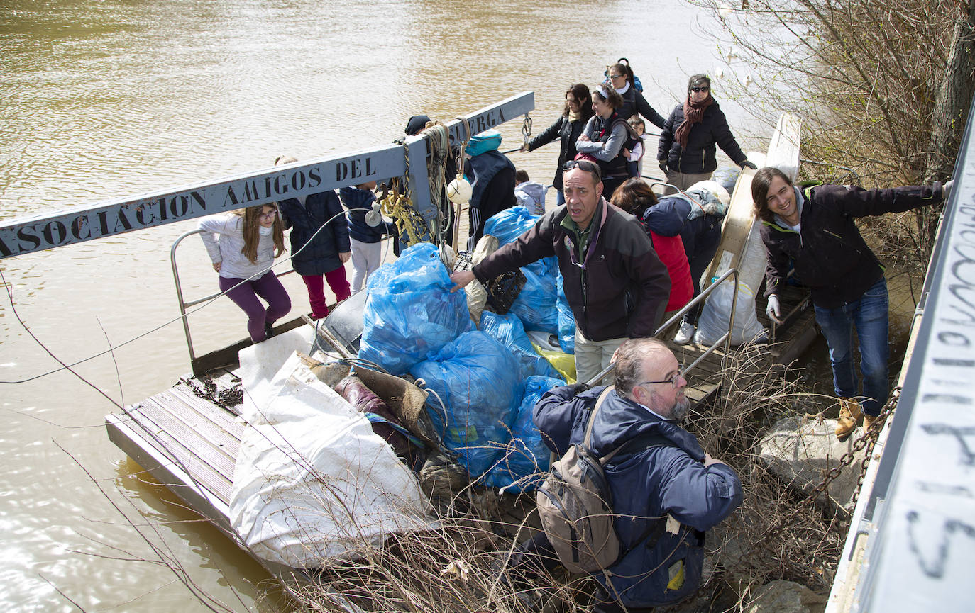 Cincuenta voluntarios se han unido este sábado a la asociación Amigos del Pisuerga para limpiar las riberas del río.