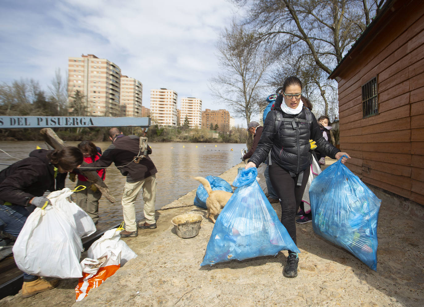 Cincuenta voluntarios se han unido este sábado a la asociación Amigos del Pisuerga para limpiar las riberas del río.