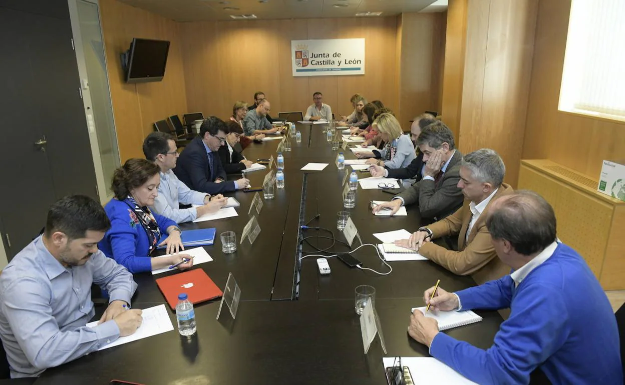 Un momento de la reunión celebrada hoy con todos los expertos del comité frente a la crisis sanitaria, con la consejera.. 