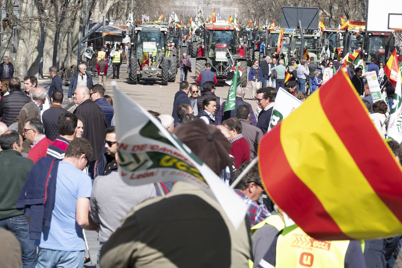 Las organizaciones agrarias UCCL, Asaja y COAG lograron concitar un millar de tractores y un millar de personas, de acuerdo a fuentes policiales, a su paso entre bocinazos por las calles de Valladolid, desde Colón hasta la Cúpula del Milenio, lo cual supuso un 'sorpasso' a sus previsiones (entre 200 y 400) y un «éxito absoluto» para que la sociedad visibilizara, y sobre todo oyera, el problema que tiene el campo.