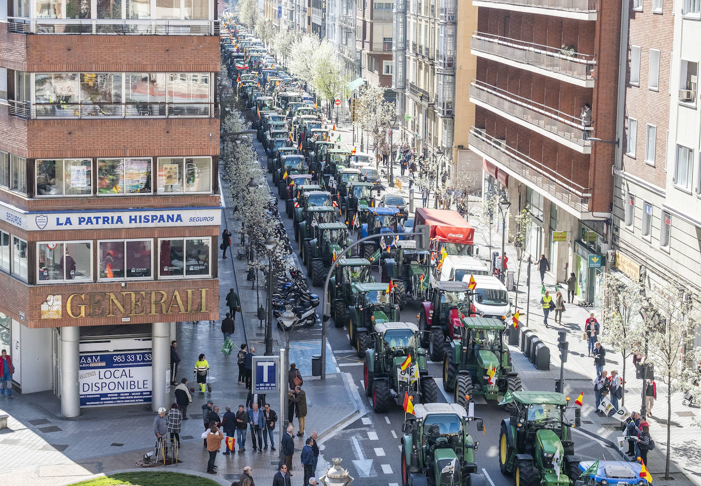 Las organizaciones agrarias UCCL, Asaja y COAG lograron concitar un millar de tractores y un millar de personas, de acuerdo a fuentes policiales, a su paso entre bocinazos por las calles de Valladolid, desde Colón hasta la Cúpula del Milenio, lo cual supuso un 'sorpasso' a sus previsiones (entre 200 y 400) y un «éxito absoluto» para que la sociedad visibilizara, y sobre todo oyera, el problema que tiene el campo.