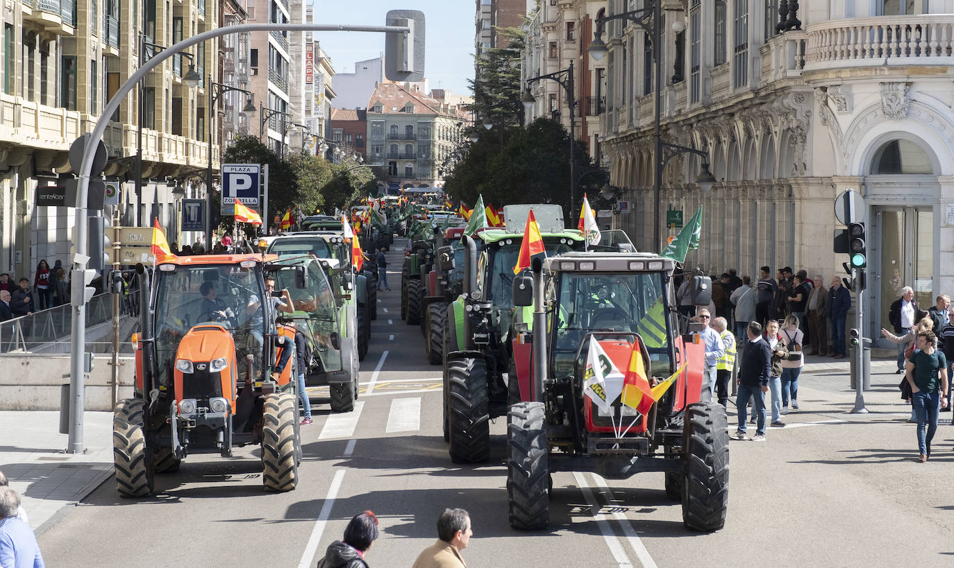 Las organizaciones agrarias UCCL, Asaja y COAG lograron concitar un millar de tractores y un millar de personas, de acuerdo a fuentes policiales, a su paso entre bocinazos por las calles de Valladolid, desde Colón hasta la Cúpula del Milenio, lo cual supuso un 'sorpasso' a sus previsiones (entre 200 y 400) y un «éxito absoluto» para que la sociedad visibilizara, y sobre todo oyera, el problema que tiene el campo.