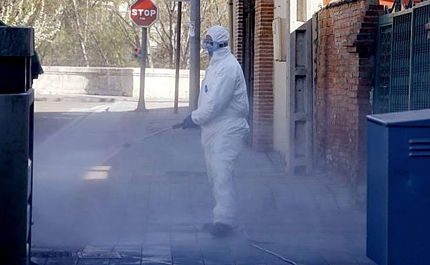 Un operario fumiga una calle en Palencia.