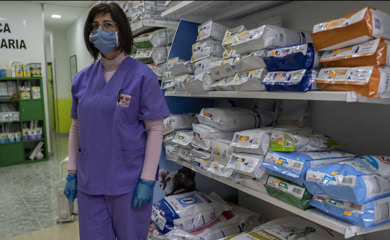 La propietaria de la clínica veterinaria Tudela, Milagros Retortillo, en su negocio. 