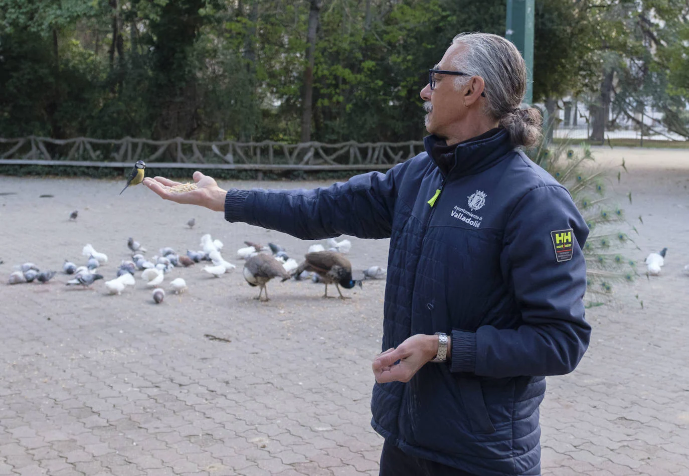 Fotos: Así da de comer Luis Magdaleno a los animales del Campo Grande