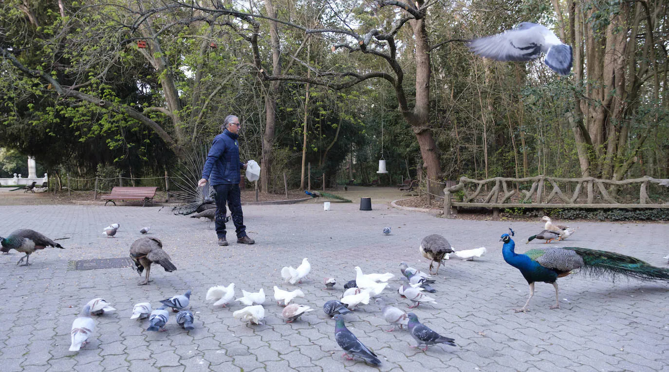 Fotos: Así da de comer Luis Magdaleno a los animales del Campo Grande