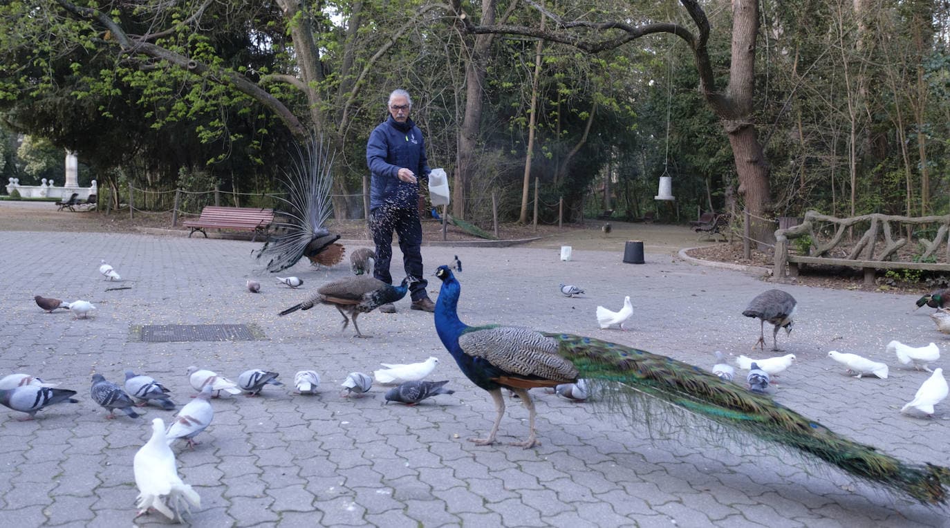 Fotos: Así da de comer Luis Magdaleno a los animales del Campo Grande