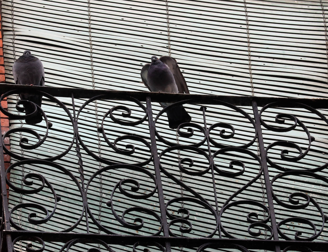 Los balcones y ventanas se han convertido desde que comenzó el estado de alarma en Valladolid en un espacio de encuentro, de esperanza y de vecindad. Son prácticamente nuestro único contacto con el exterior. Unos los decoran, otros toman el apetitivo en ellos y todos se mandan ánimos a distancia. 