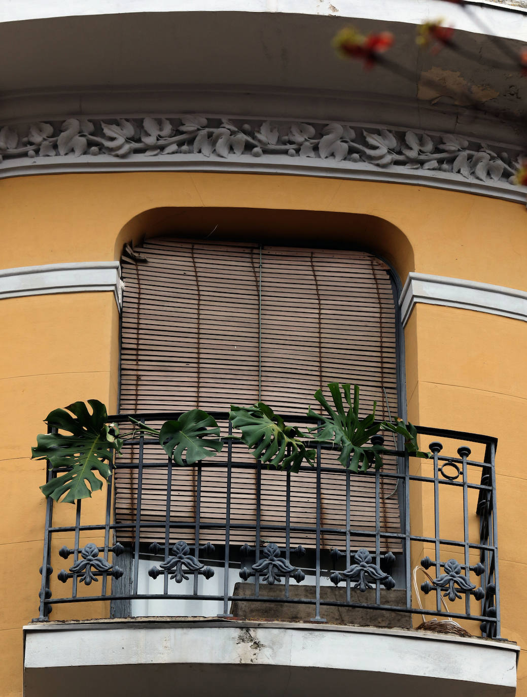 Los balcones y ventanas se han convertido desde que comenzó el estado de alarma en Valladolid en un espacio de encuentro, de esperanza y de vecindad. Son prácticamente nuestro único contacto con el exterior. Unos los decoran, otros toman el apetitivo en ellos y todos se mandan ánimos a distancia. 