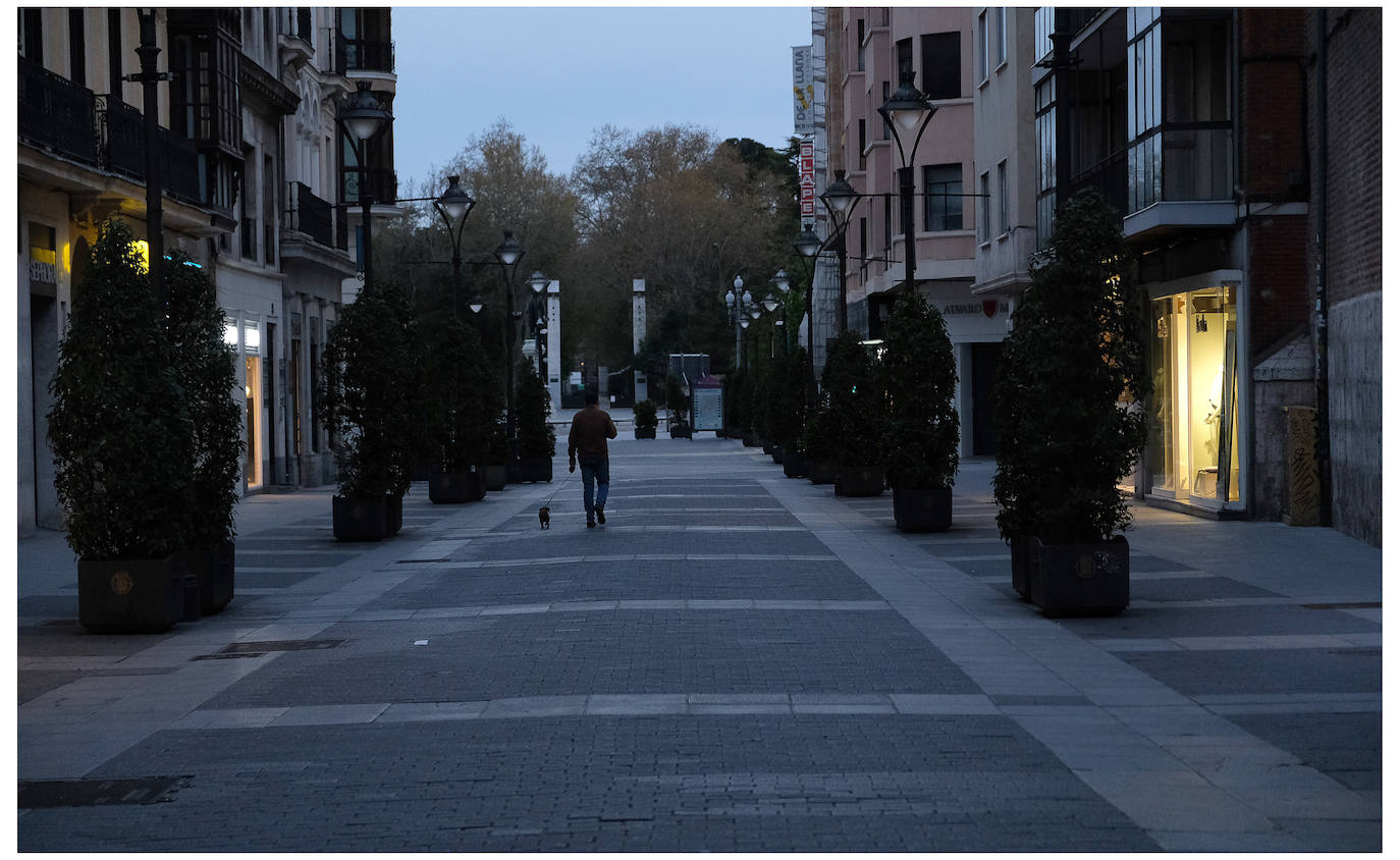 Fotos: Las calles de Valladolid, vacías en el sábado de la tercera semana de estado de alarma
