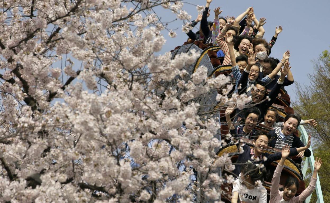 Jóvenes japoneses, en una montaña rusa al comienzo de la primavera. 