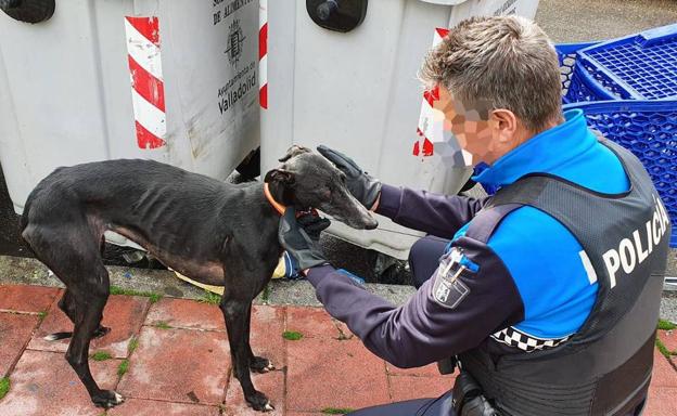 Un agente de la Policía Municipal junto a uno de los dos perros rescatados.