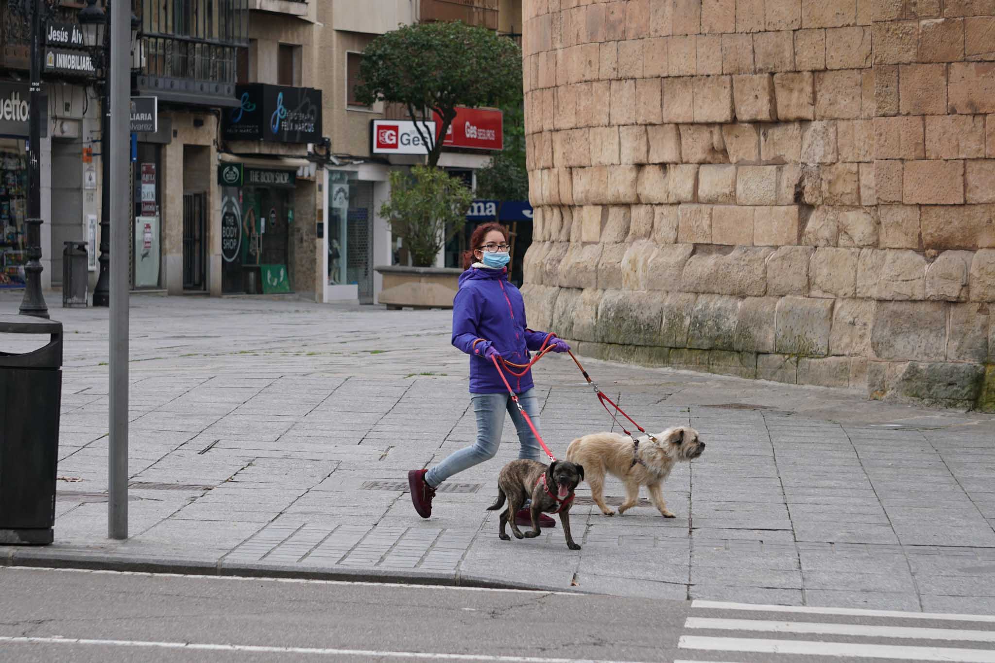 Fotos: El inicio de la actividad llena las calles de Salamanca