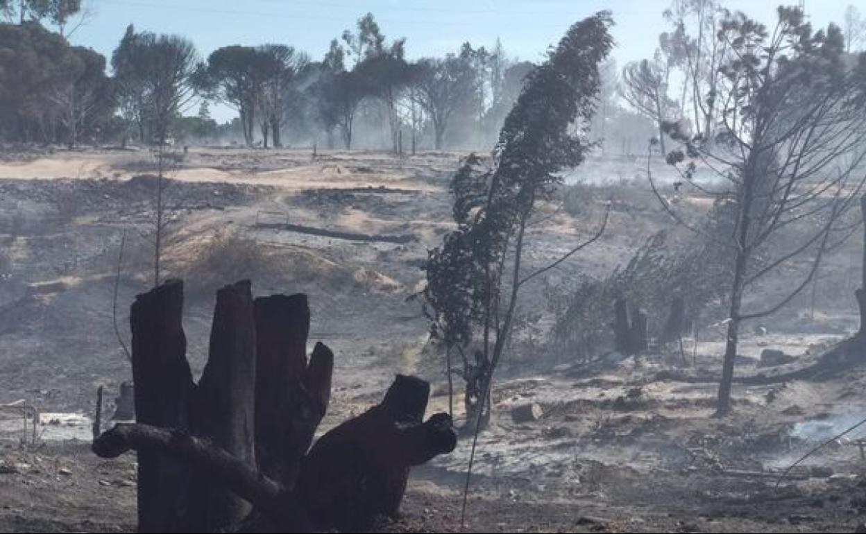 Imagen de archivo del terreno arrasado por el fuego en un asentamiento chabolista de Palos de la Frontera.