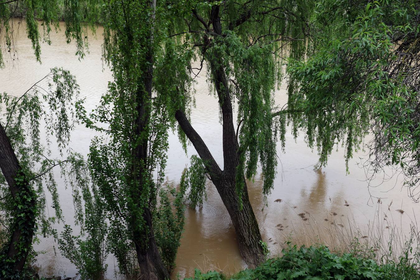 Las intensas lluvias que están protagonizando estas primeras semanas de abril han dejado una cantidad que supera ya con creces la media habitual para todo el mes