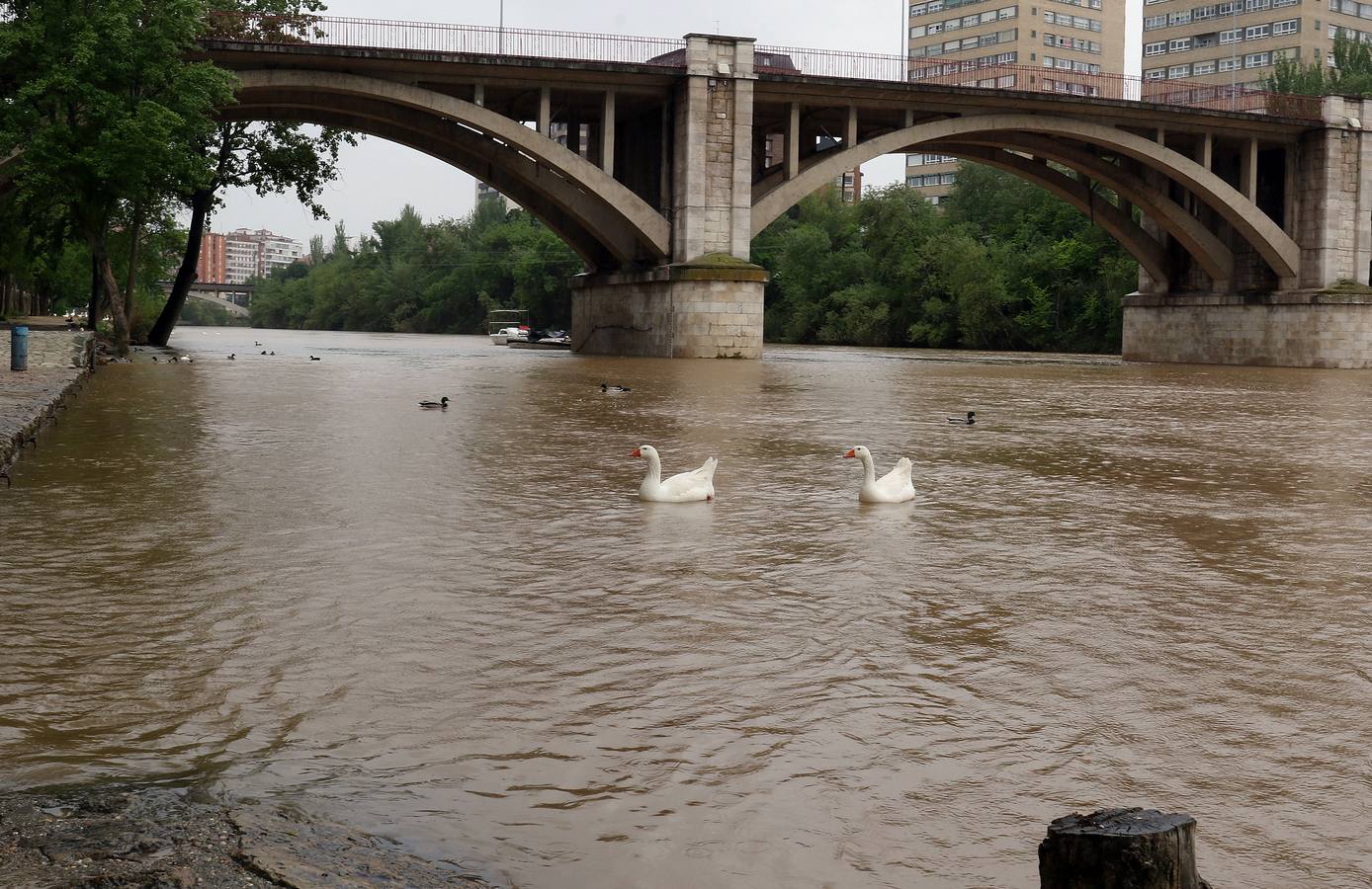 Las intensas lluvias que están protagonizando estas primeras semanas de abril han dejado una cantidad que supera ya con creces la media habitual para todo el mes