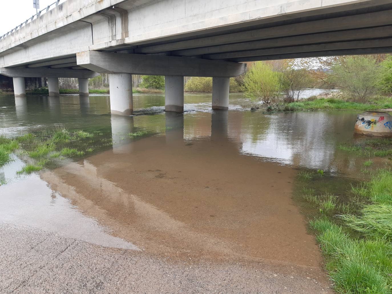La suelta de agua del embalse de Aguilar ha hecho crecer considerablemente el río. 